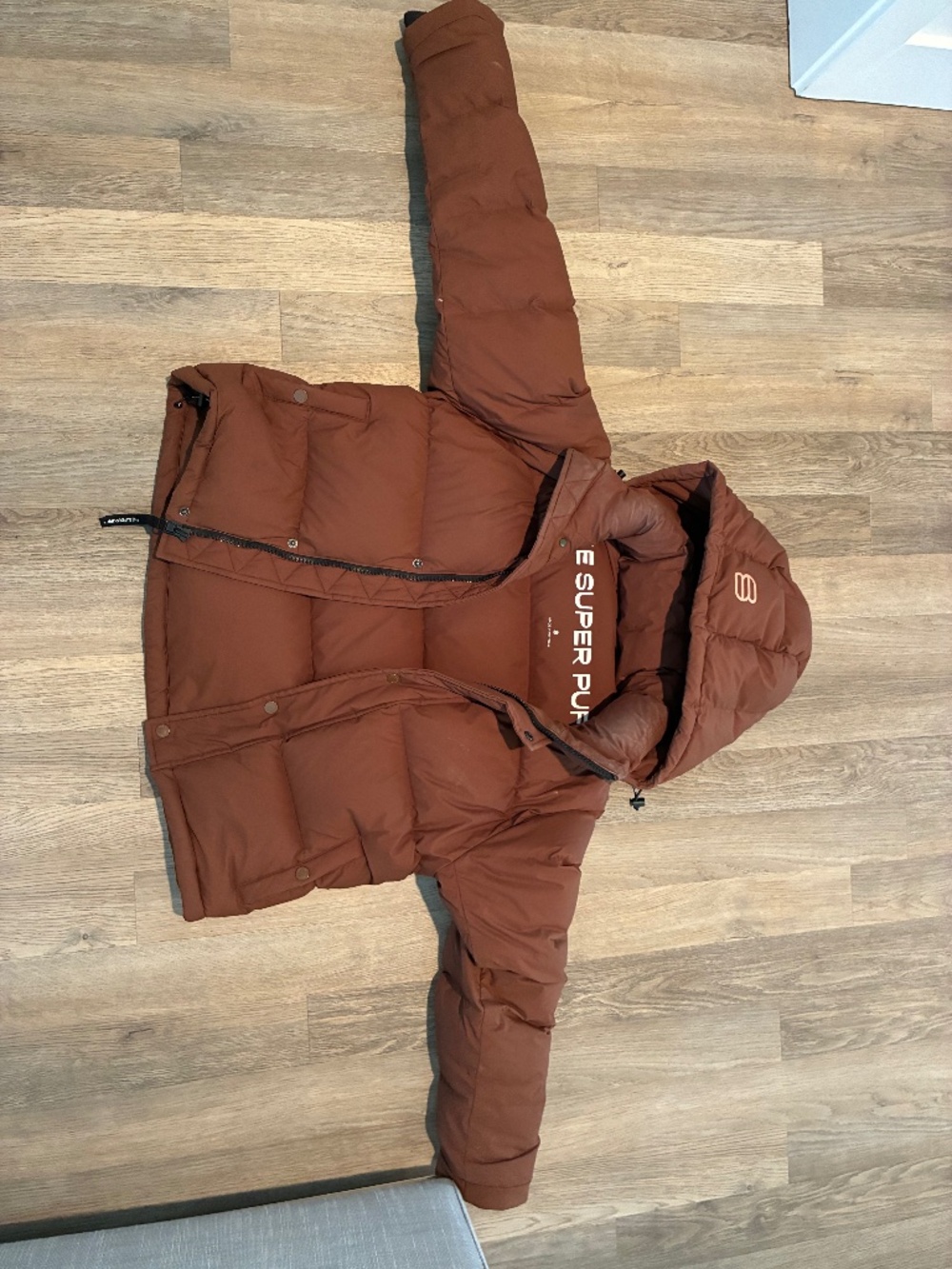 Aritzia Super Puff Shorty